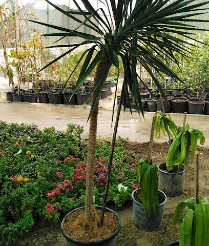 مشتل عبور الوادي - Khafji - +966 50 925 9699