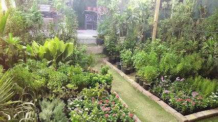 مشتل الضاحية - Dammam - +966 55 062 7734