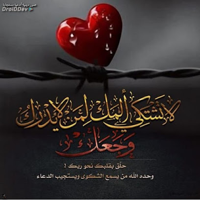 Taif University - Taif - +966 9200 02122