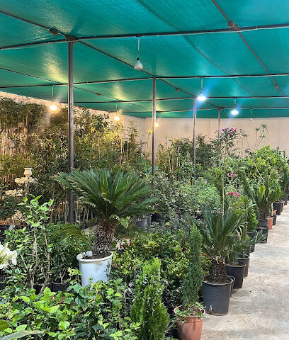 رين لاند - Hail - +966 55 565 7251