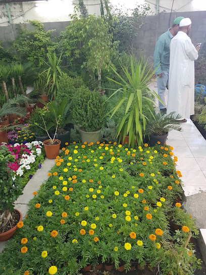 Nursery City of Roses - Saudi Arabia|Taif 26522|4283