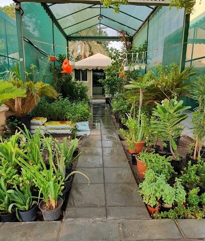 مشتل الجزيرة - Al Jubail - +966 50 823 3979