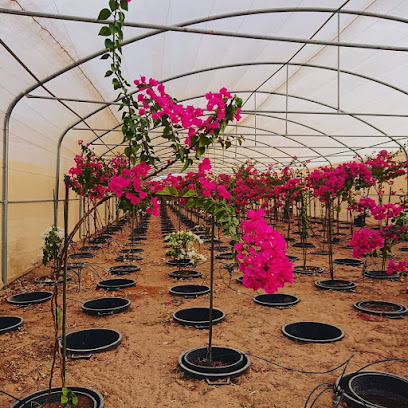 BADAN FARM AL KHARJ - Ad Dilam - +966 11 464 9442