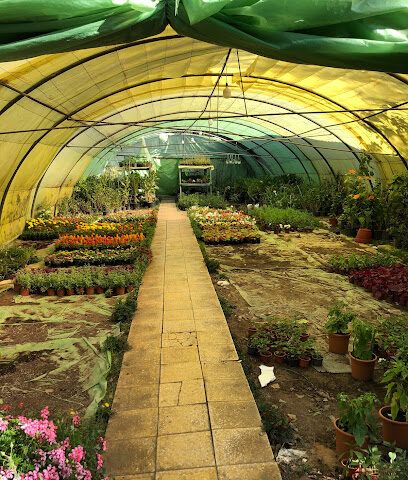 مشتل القدس الزراعي - Abha - +966 50 852 8951
