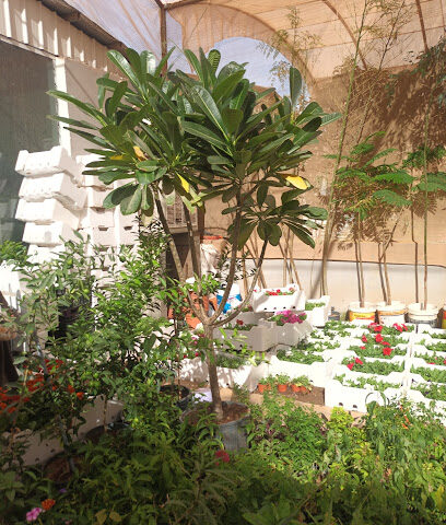 مشتل ابو الرشد - Riyadh - +966 56 837 4218
