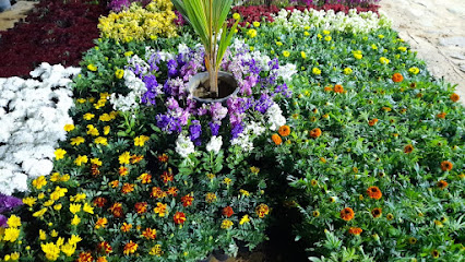 مشاتل العرضيتين - Bilad Biny Suhaim - +966 55 335 5082