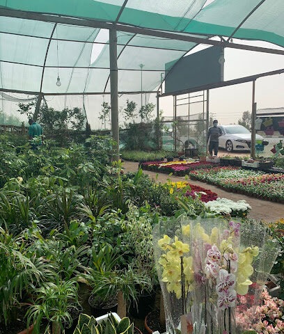 Al-Urood nursery - Tabuk - +966 54 555 2276