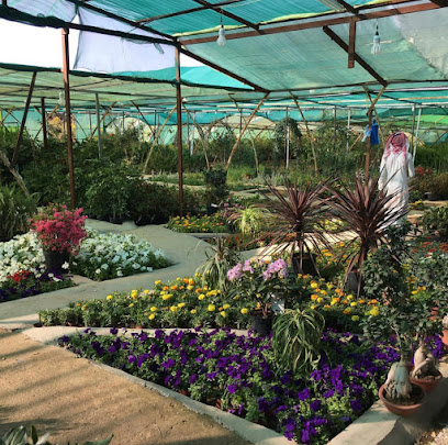 مشتل لجين - Abha - +966 55 911 0422