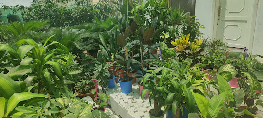 مشتل الشيخ - Jeddah - +966 54 921 4505