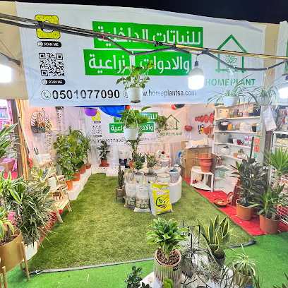 Home Plant النباتات الداخلية - Tabuk - +966 50 107 7090