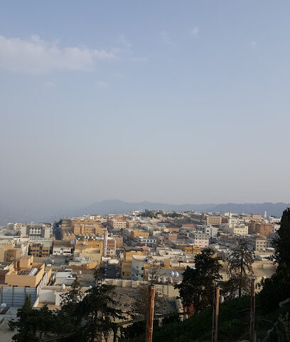 المجال خدمات أمنية - Abha -