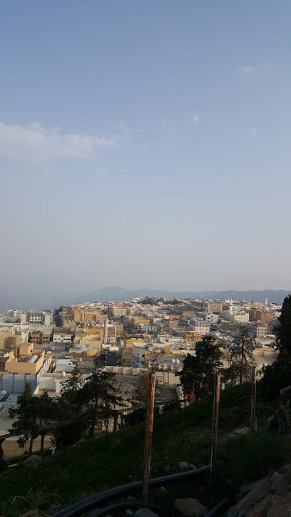 المجال خدمات أمنية - Abha 62521