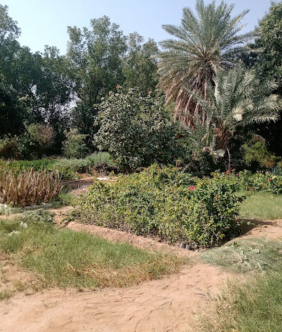مشتل الجمعان - Al Jumum - +966 54 203 6505