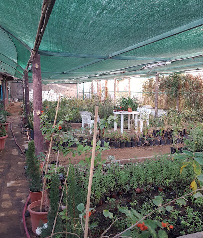 مشتل سعود - Buraydah - +966 55 019 5621