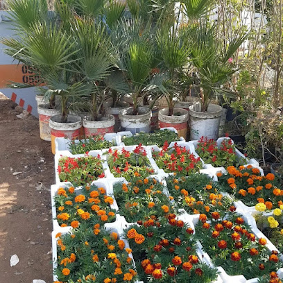 مشاتل الزراعيه - Riyadh - +966 56 675 0147