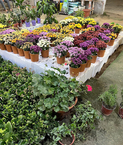 مشتل النسيم الزراعي - Khamis Mushait - +966 57 590 1320