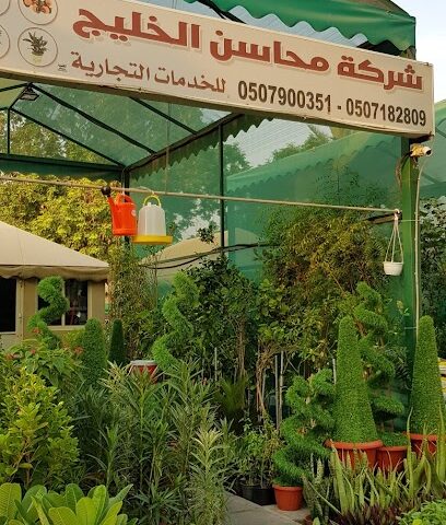 مشتل محاسن - Al Jubail -