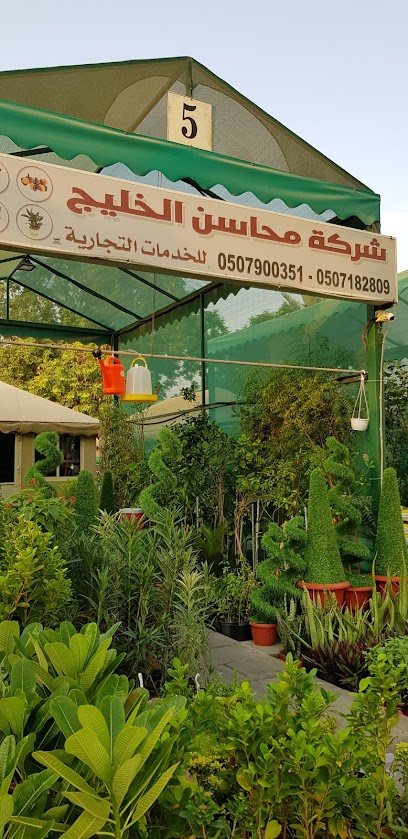 مشتل محاسن - Al Jubail 35811
