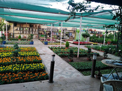 شركه المجال الزراعى - Najran - +966 50 499 1500