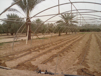 استراحة المتميزة - Al Qurayyat - +966 53 532 6936