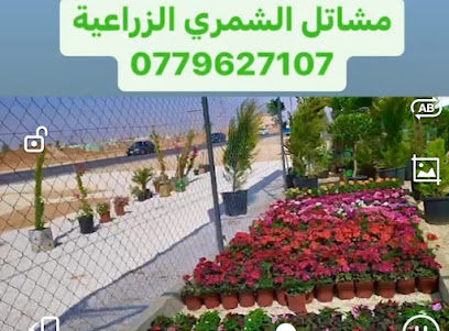 مشاتل الشمري الزراعيه - Baljurashi - +962 7 7926 7107