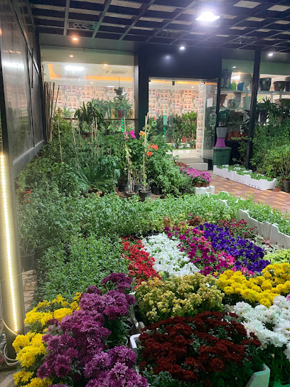 مشتل هدوء الاماكن لتنسيق الحدائق - Al Jubail 35518