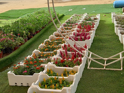 مشتل سند - Abu Arish - +966 53 000 2093