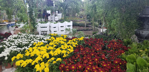 Rayan Nurseries مزرع مشاغل الریان - Anak -