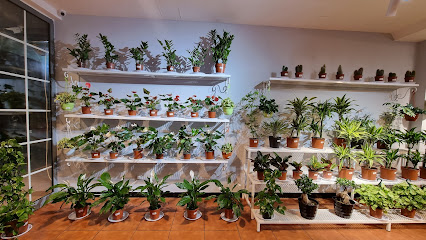 مشتل الحمرا الزراعية - Al Jubail - +966 54 588 6348