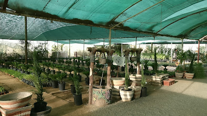 مشاتل و مناحل الضاحيه - Hail - +966 55 515 7993