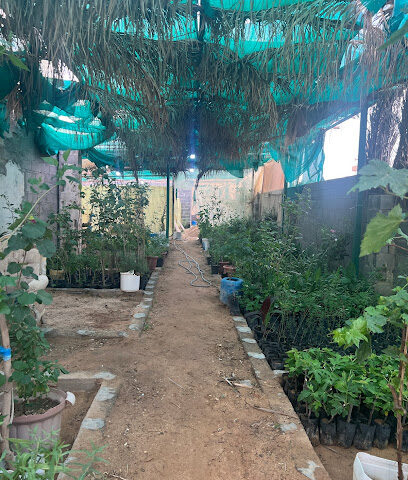 مشتل باب القصر - Old Jefin - +966 54 849 3487