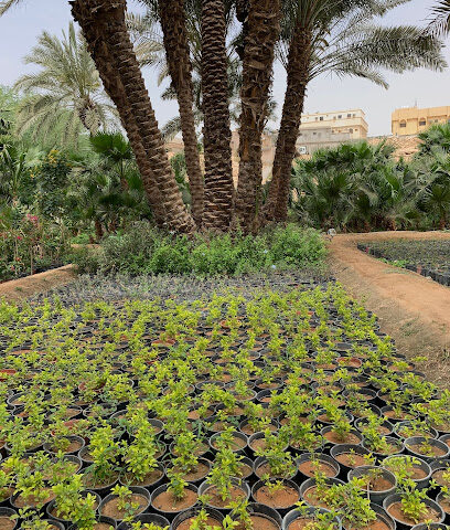 مشاتل الغابة - Diriyah - +966 59 123 0581
