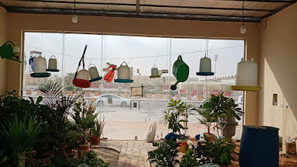 مشتل مراكن جنى مشاتل - Riyadh - +966 50 522 5111