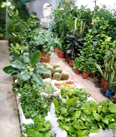 مشتل ابو عمار - Riyadh - +966 56 280 5223