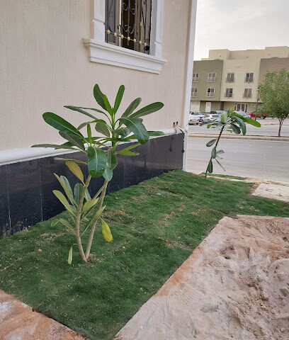 مشتل بساتين للزراعة - Riyadh - +966 55 832 5576