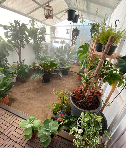 صديق البيئة sadig albia - Jeddah - +966 54 442 0102