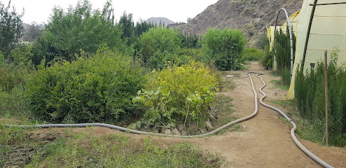 مشتل جمعان الزهراني - تربة زهران - القدحه - +966 50 577 9431