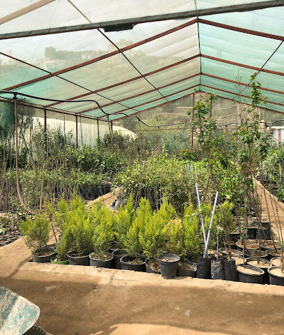 مشتل الندى - Unnamed Road - +966 55 355 2111