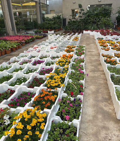 مشاتل البستان - جدة AlBustan Nurseries - Jeddah - Jeddah - +966 50 525 9915