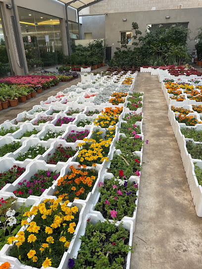 مشاتل البستان - جدة AlBustan Nurseries - Jeddah - Jeddah Saudi Arabia|شارع صفية بنت عبدالمطلب|Safia Bint Abdulmutalib St