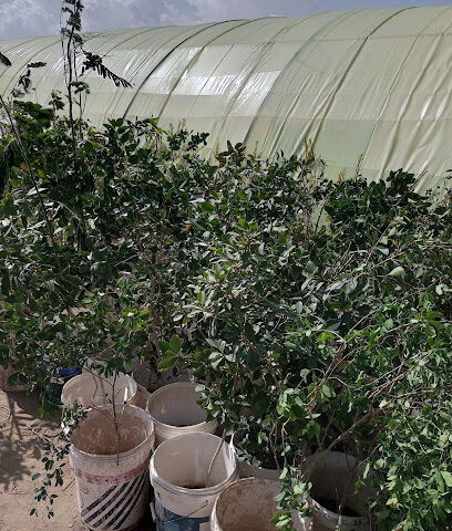 مزرعة الخير - Abha -