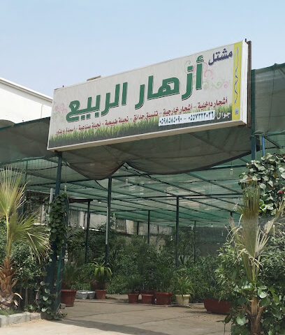 مشتل ازهار الربيع - Jeddah - +966 55 732 3036