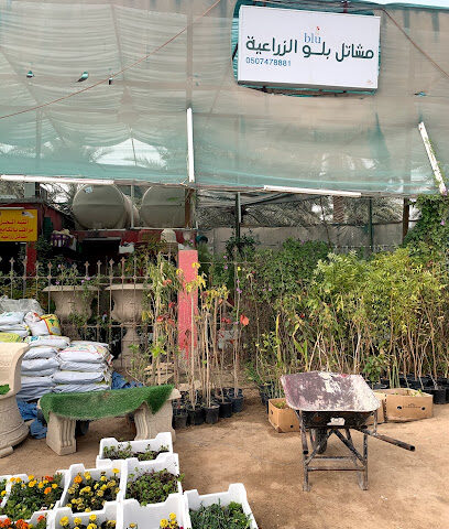 agricultural nurseries - Al Hofuf - +966 50 747 8881