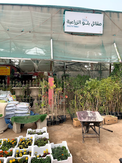 agricultural nurseries - Al Hofuf 36343