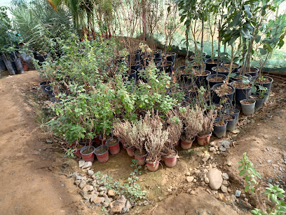 مشاتل ماضي - Sabya - +966 50 479 1922