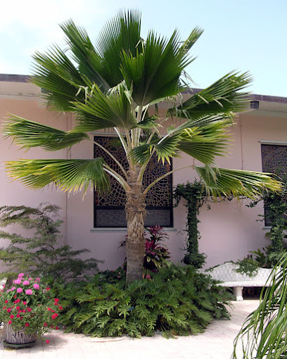حديقة الؤرود Makkah Garden Canter مشطل القلعة - Saudi Arabia|Jeddah 22389|Old Mecca Al Moukarramah Rd
