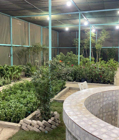 مشاتل ايلاف الزراعيه - Al Bahah - +966 56 136 4713