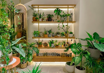 Seven Plants • سبع نباتات - Jeddah - +966 59 350 9122