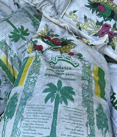 مشتل ارياف الطبيعة - الراشدية، - +966 50 092 9314