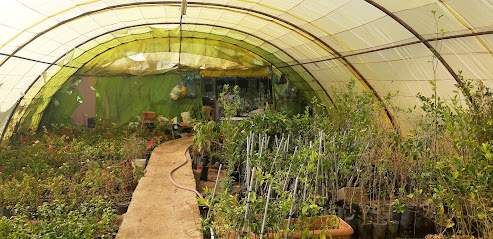 Nursery circuit - Abha - +966 50 832 1553